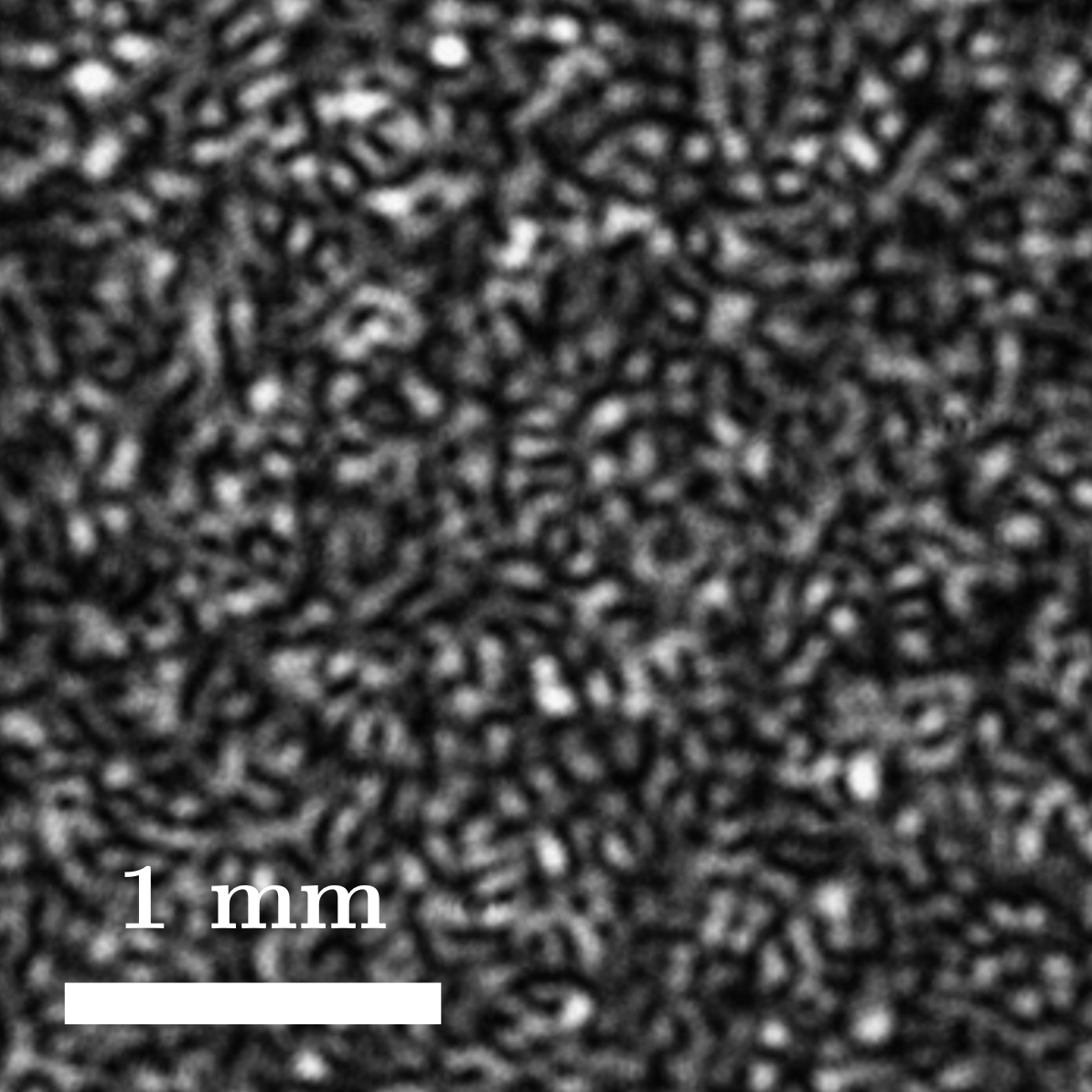 Speckle pattern